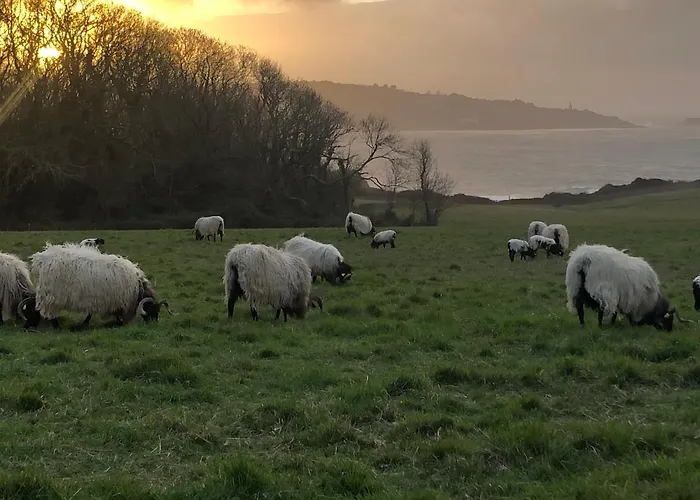 Lejlighed Havre De Paix, Parking, Wifi, Draps Et Servilletes, Inclus *